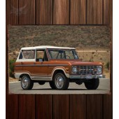 Металлическая табличка Ford Bronco